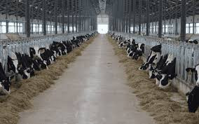 Farm Structures and  Agricultural Mechanization 