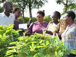 Extension and  Training Methods 